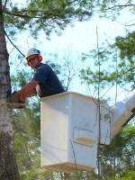 Bucket2.jpg